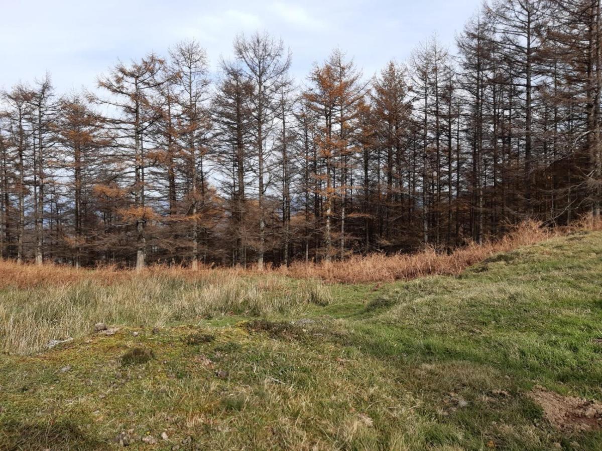 Apartamento Rural Элисондо Экстерьер фото